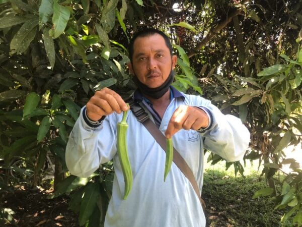 Malaysian farmer