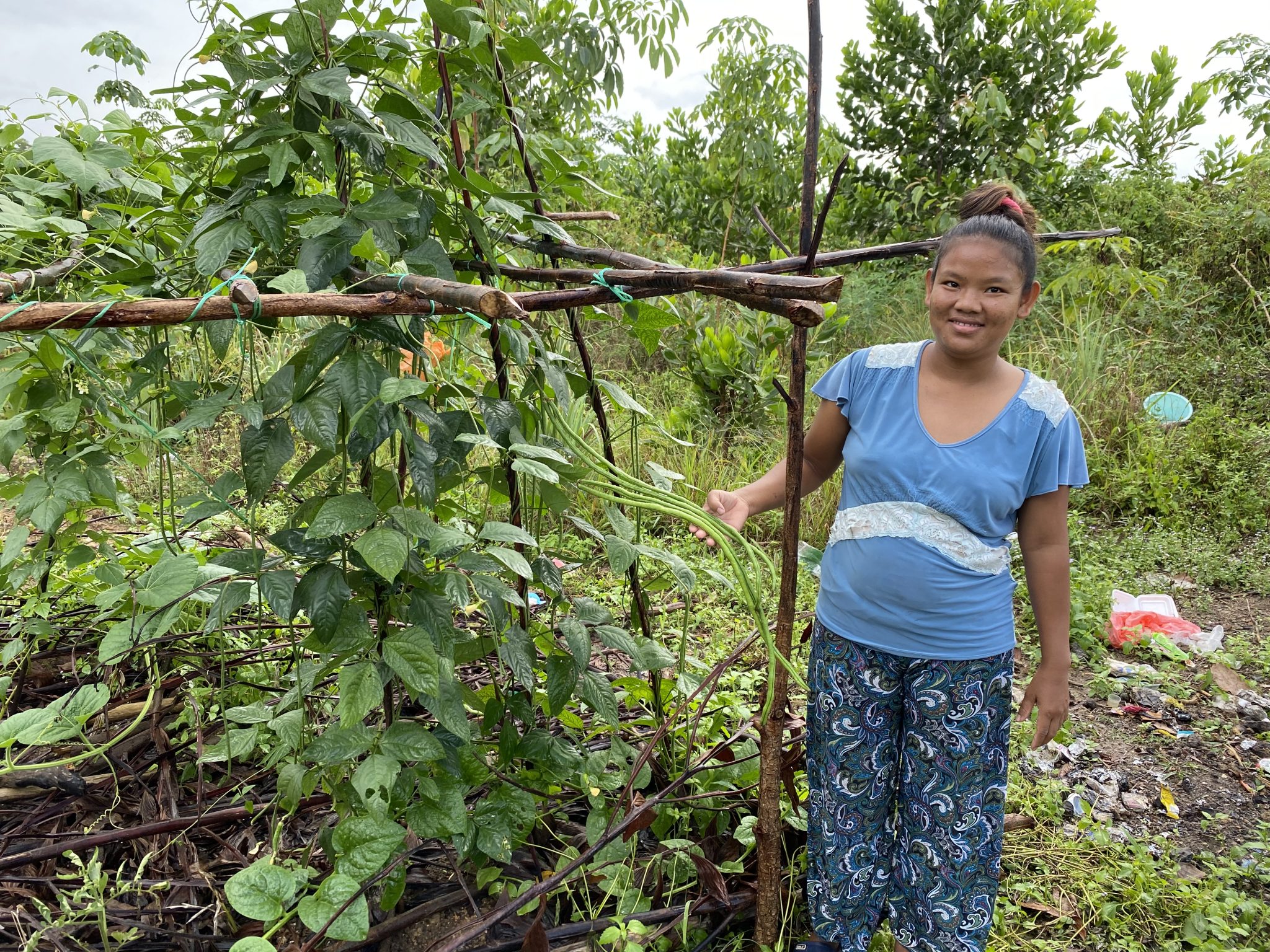 Farmer with bean plants