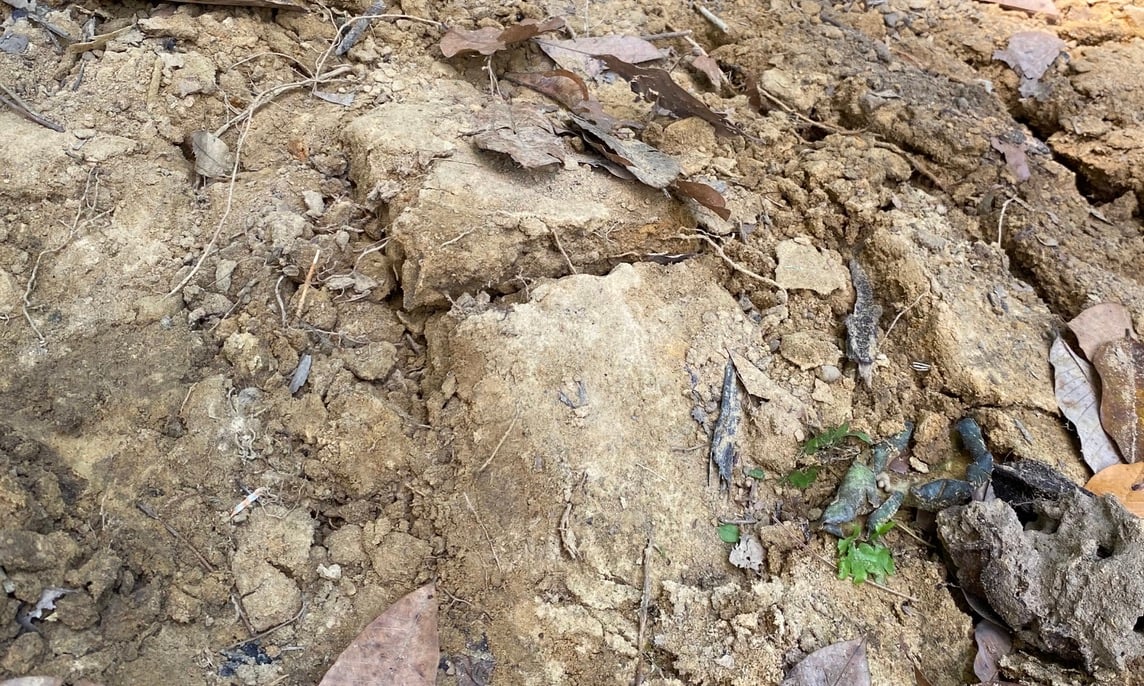 Soil