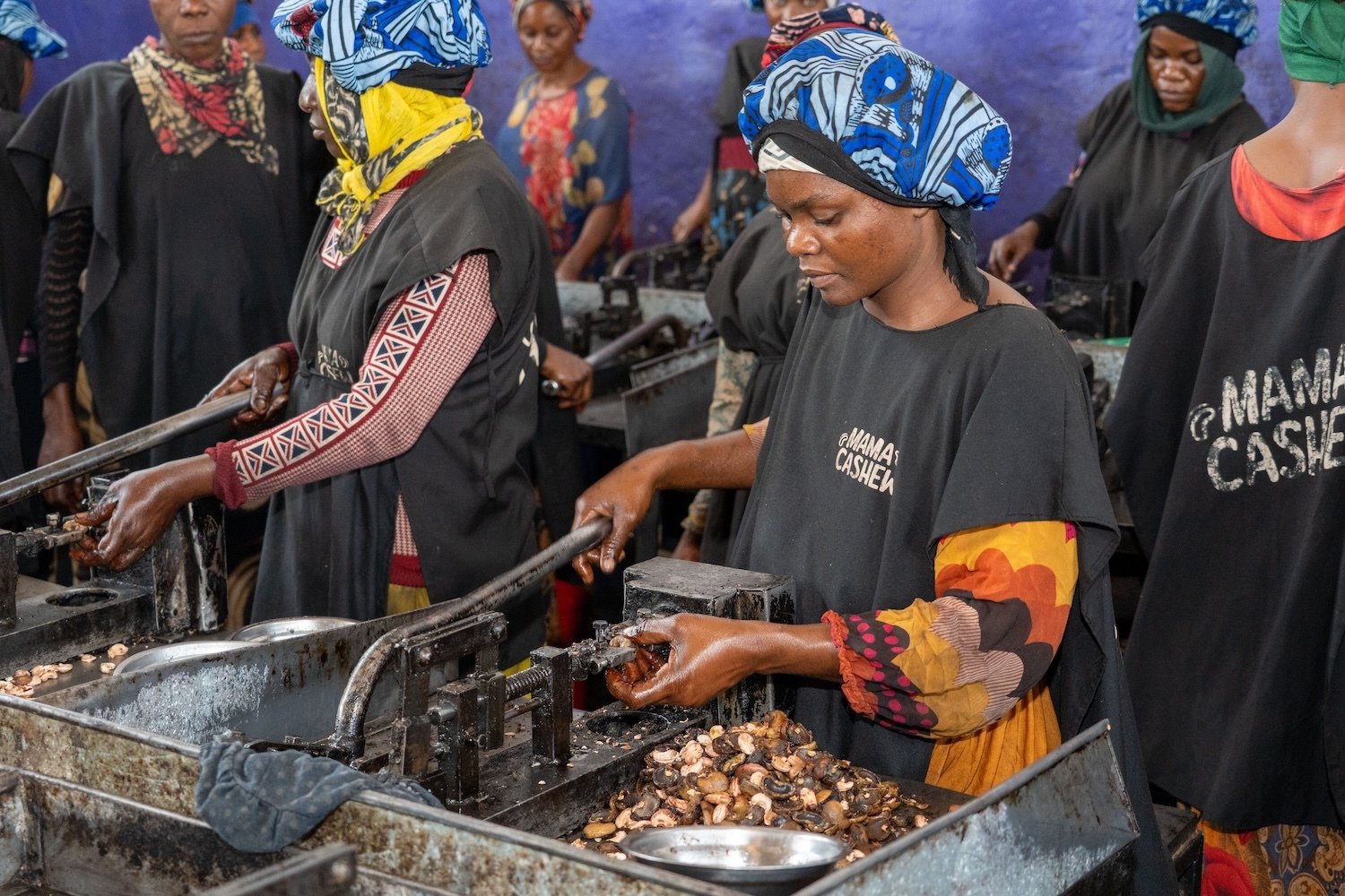 Women empowered to work in cashew production in Tanzania.