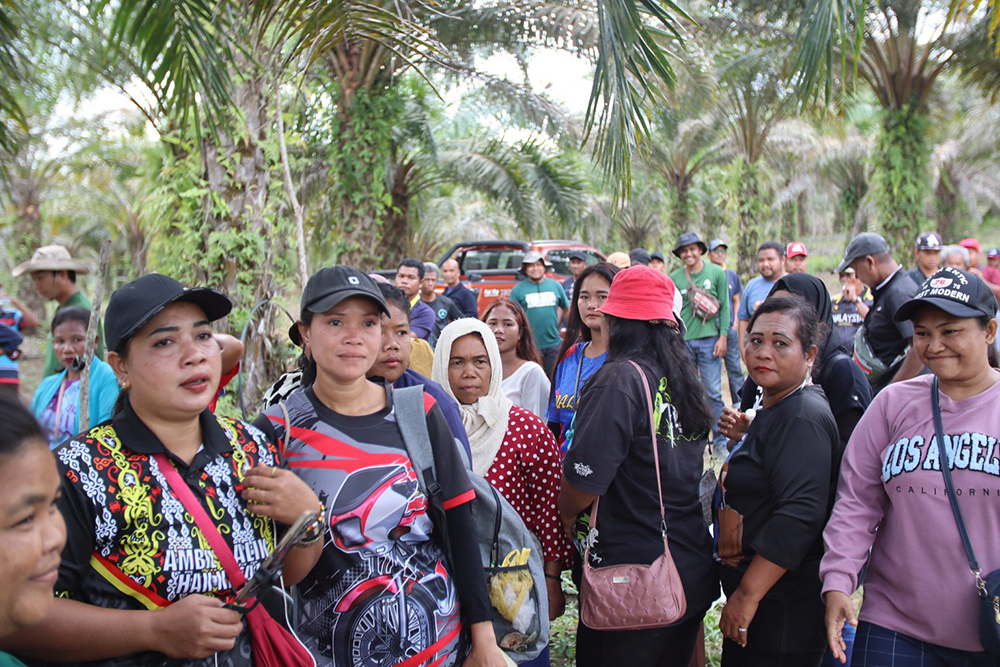 A group of Malaysian farmers gathered outdoors, surrounded by palm trees showcasing syntropic agroforestry. Some are wearing hats, and a truck is visible in the background, capturing one of their many success stories.