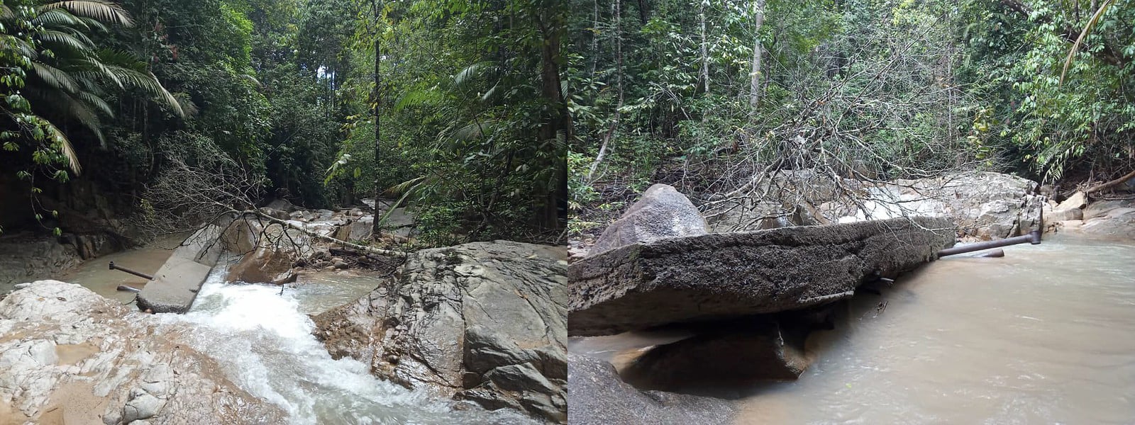A river flows serenely between tree-lined banks, with fallen branches and rocks dotting the water. As part of a Global Peace Partner initiative, Micros supports clean water efforts for the Orang Asli communities along these pristine banks.