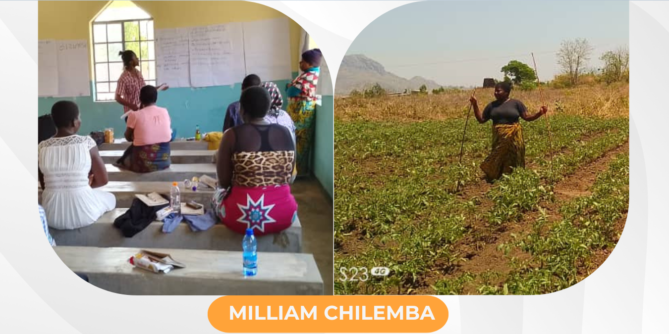 Split image with a classroom scene on the left and a field with a woman farming on the right. Text reads: "Women and Families in Peacebuilding: Catalysts for Transformative Change in Malawi" by Global Peace Women, highlighting essential roles in disaster recovery.