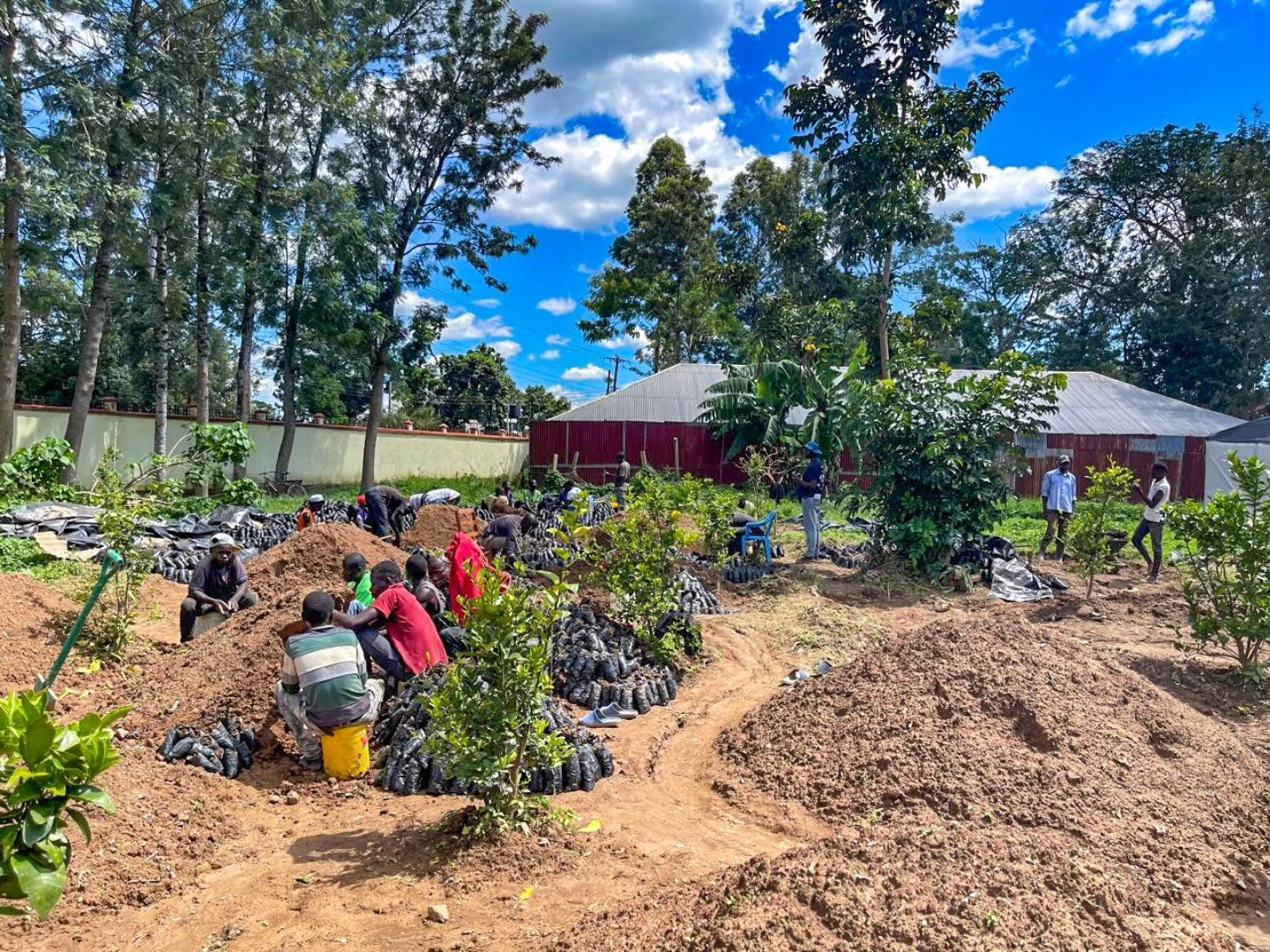 People are working outdoors in a garden or farm area at Butere Girls High School, participating in Environmental Restoration by planting and managing soil and plants, with buildings and trees in the background under a blue sky with clouds.